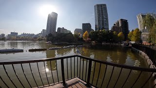 湯島天神から白山駅まで探索　【4K対応】