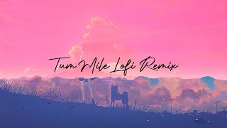 Tum Mile (LoFi Remake) | Emraan | Pritam | Neeraj Shridhar | Lofi EP | ROHAN | Chill 2021