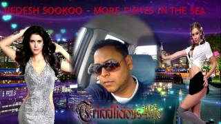 VEDESH SOOKOO - MORE FISHES IN THE SEA [ 2015 Chutney/Soca ] Brand New Release