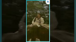 ராம் லட்சுமண் Movie Song | Nadakkattum Video Song | Kamal Haasan | Sripriya | Ilaiyaraaja | #shorts