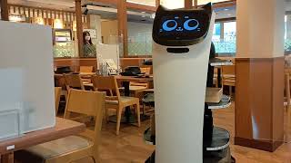 ✨️【猫ロボット】🇯🇵しゃぶ葉ロボットフロアサービス🤖肉注文してみた🥩