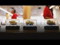 Two out of five states vote to legalize recreational use of marijuana