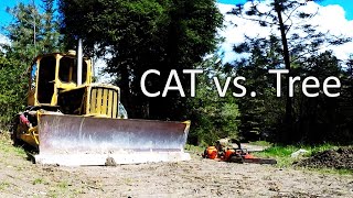 Logging With the 1951 CAT D4-7U Tractor/Dozer