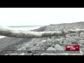MH370:  New metallic wreckage found on Reunion Island