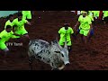 போட்டியில் எங்கேயும் பிடிபடாத காளைகள் highlights of jallikattu 2020 utv tamil