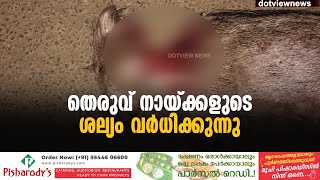 ഷൊർണൂർ കണയം ഭാഗത്ത് തെരുവ് നായ്ക്കളുടെ ശല്യം വർധിക്കുന്നു