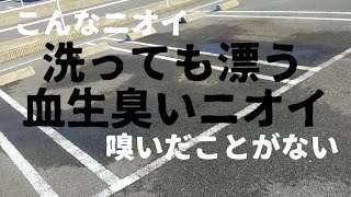 引きずり死亡事故現場　100ｍ続く血痕と駐車場の血溜まり跡　漂う生臭いにおい（愛知県碧南市）