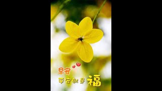 【囍結善緣2022年12月17日】