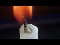 Candle Burning Time Lapse