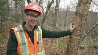 A Day In The Life of JDI Planning Forester Peter Davison in Sussex, New Brunswick