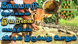 கோமாரி நோய்க்கான இயற்கை மருத்துவம் செலவு இல்லாமல் செய்யலாம்|foot and mouth disease in cattle #komari