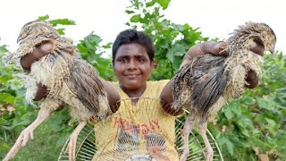 Fan மூடி வைத்து பிடித்த காடை வெண்ணை ரோஸ்ட்|Quail Hunting And Cooking|Butter Quail Roast|Suppu