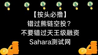 错过熊链空投？不要错过天王级融资Sahara测试网，零撸博高额空投#airdrop #berachain #sahara