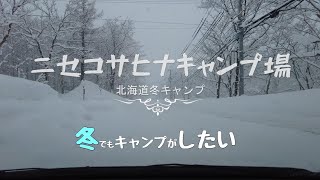 北海道冬キャンプ【ニセコサヒナキャンプ場】豪雪の森！