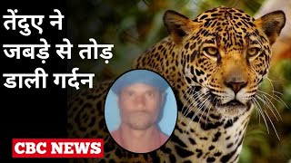 Udaipur के लसाड़िया में तेंदुए ने किसान की गर्दन जबड़े में पकड़ी और  तोड़ डाली