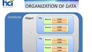 Advanced Report Designer | M-AT and FS Data Structures