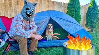 Wolf Surprises Puppy with Camping Trip!