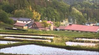 山吹棚田の風景 (岩手県南）