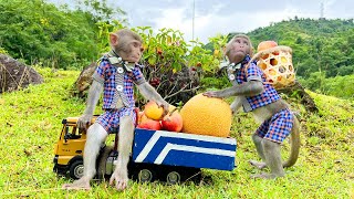 Smart Bim Bim goes to pick fruit to make juice and helps dad take care of baby monkey Obi