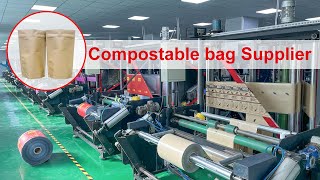 Automated Eco-Production: Compostable Kraft Bag Manufacturing