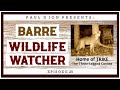 Barre Wildlife Watcher Episode 25