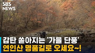 가을 단풍 절정…연인산 명품길 활짝 \