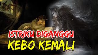 CERITA MISTERI KISAH NYATA : ISTRIKU DIGANGGU KEBO KEMALI