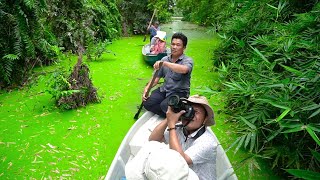 KHU BẢO TỒN SINH THÁI ĐỒNG THÁP MƯỜI - TIỀN GIANG | FOOTAGE VIETNAM