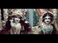 भजन krishna janmashtami बांके बिहारी मैं तो जाऊं तोपे बलिहारी seetal das krishna bhajan