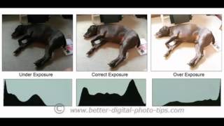 Grayscale and Histogram AYPDIM