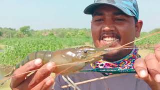 big size prawns Jhinga fishing🦐//आज झींगा पकडके मिलि बोहोत खुशी//झिंगा फिशिंग  🦐🦞