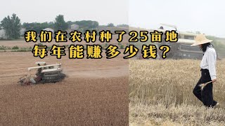 超详细种地收益账单！今天来收麦子了，看看这25亩地能赚到多少钱？