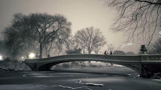 🔴 NYC LIVE: Snow in New York City ❄️ Central Park night walk