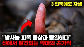 섭취하는 사람의 장기를 모조리 파괴시키는 지상 최악의 맹독버섯 [자연]