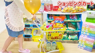 ショッピングカートでお買い物 スーパーマーケット お菓子 リカちゃん セルフレジ / Shopping Cart Toy Grocery Shopping