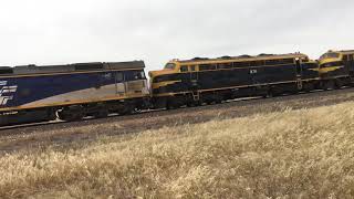 Grain train near Wycheproof