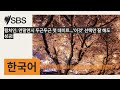 컬처인 연말연시 두근두근 첫 데이트... 이것 선택만 잘 해도 성공 sbs korean sbs 한국어 프로그램