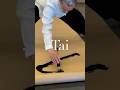 Tai Ji Dao #taichi #taiji #taichiquan #Qigong #kungfu #wushu #dao #tao #peace