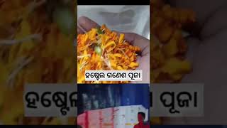 Ganpat bappa🙏 ଆର ବର୍ଷ ଯାଇ ଆସିବେ 🥺#shots #viral