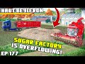 THE SUGAR FACTORY IS OVERFLOWING!! | Farming Simulator 22 - Haut-Beyleron | Episode 177