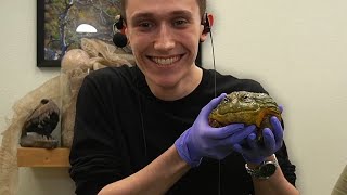 I Held The CRAZIEST Animals (and Streamed It)