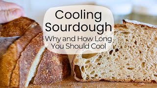 Cooling Sourdough Bread: Why and How Long You Should Cool