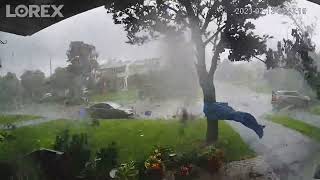 Bins catapulted and trees uprooted as tornado rips through Ontario