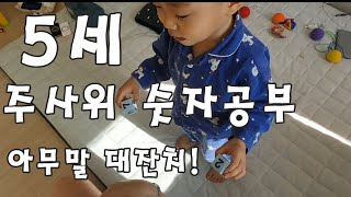 5세 주사위놀이 숫자배우기 아무말 대잔치! [솔로몬부동산TV]