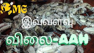 கணவாய் வகை||மீன் ஏலம்😱||உங்கள் குமரி மீனவன்||#fishingvideo #fish #beach #sea #fishing #seafood