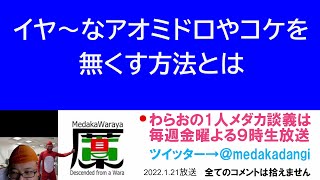 嫌なアオミドロやコケを無くすには 滋賀県のメダカ販売店 めだか藁屋 高木正臣