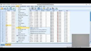 Reliability test ( cronbach alpha) to check internal consistency Amharic tutorial (SPSS).