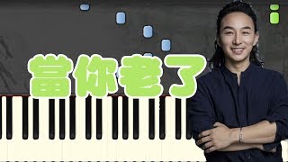 🎹 赵照 - 当你老了 钢琴教学 ❤️♫