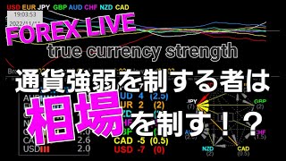 FOREX LIVE \