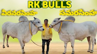 RK Bulls వారి NewCategory Bulls వీరనరసింహ సమరసింహ గెలుపు వేట మొదలు పెట్టిన సింహాలు